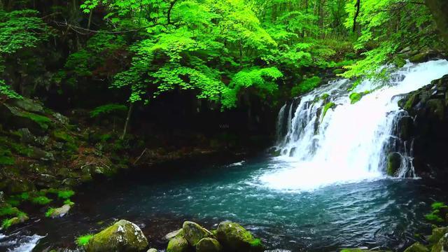 【新春走基层】兰州市城关区“三下乡”活动把温暖送到群众身边